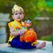 10 Pcs Janmashtami Photo Booth Props for Photoshoot Krishna Janmashtami Photobooth Decorations Hindu Festival Party Favors Decoration Kit for Home Indoor Outdoor Decor